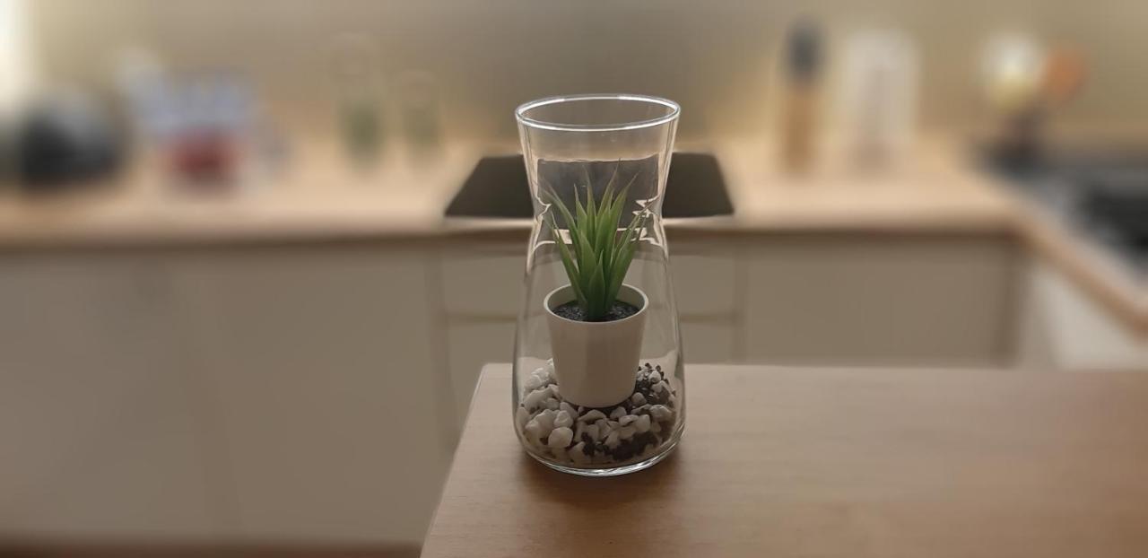 Apartament Cyrkoniowa Lublin Extérieur photo